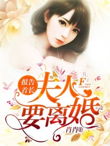 报告首长,夫人要离婚