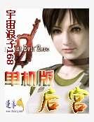 单机版后宫