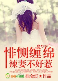 悱惻豪門，辣妻不好惹