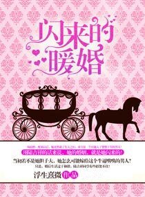 《閃來的暖婚(高幹)》