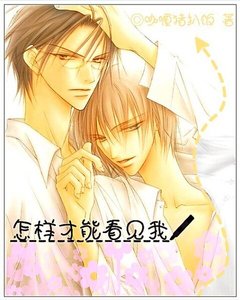 《怎樣才能看見我》