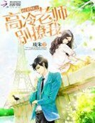 萌妻19岁:高冷老师,别撩我!