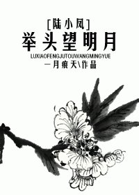 （陸小鳳同人）舉頭望明月