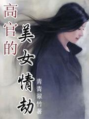 邂逅女设计师：高官情劫/高官的美女情劫