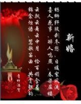 《本王的王妃是狼女》