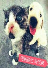 何觸馮生
