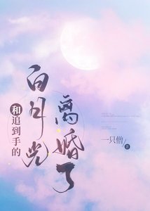 和追到手的白月光離婚了
