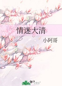 《情迷大清》