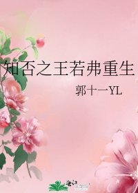 《知否之王若弗重生》