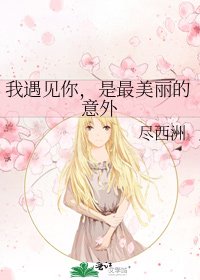 《我遇見你,是最美麗的意外》