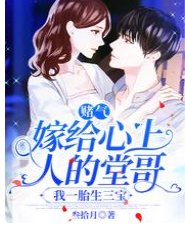 《賭氣嫁給心上人的堂哥,我一胎生三寶》