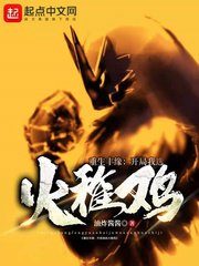 《(精靈寶可夢同人)重生豐緣:開局我選火稚雞》