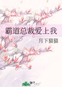 《霸道总裁爱上我》