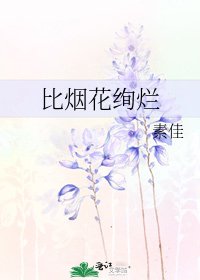 《比烟花绚烂》