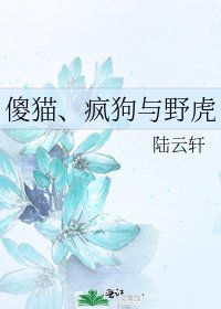《傻貓、瘋狗與野虎》