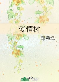 《爱情树》