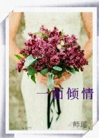 《一面倾情》