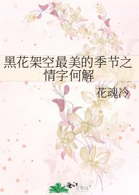 《黑花架空最美的季节之情字何解》