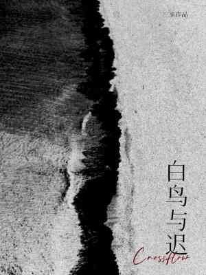 《白鸟与迟》