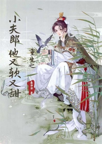 重生之小夫郎他又軟又甜